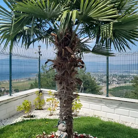 Luxury Family With Private Pool & Slide *