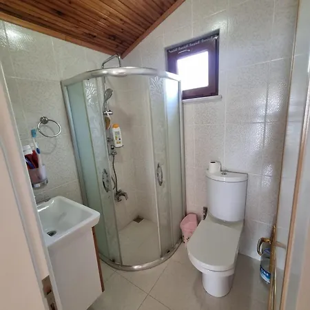 Luxury Family With Private Pool & Slide Holiday home