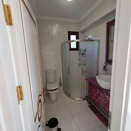 Luxury Family With Private Pool & Slide Holiday home
