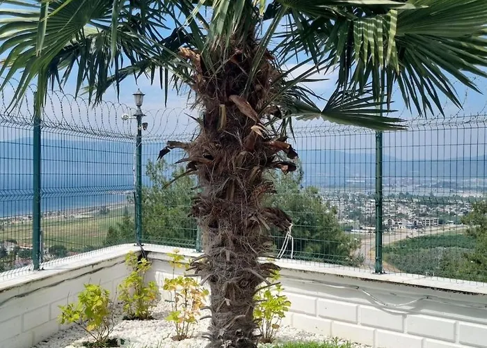 Luxury Family With Private Pool & Slide *