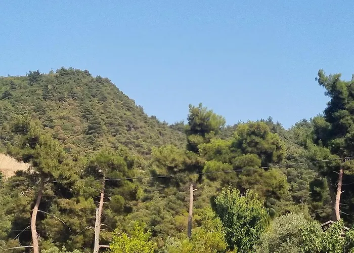 Luxury Family With Private Pool & Slide Holiday home Gemlik